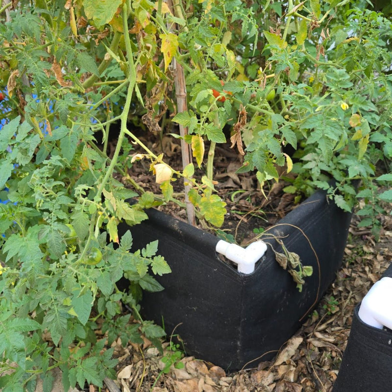 fabric raised bed with frame