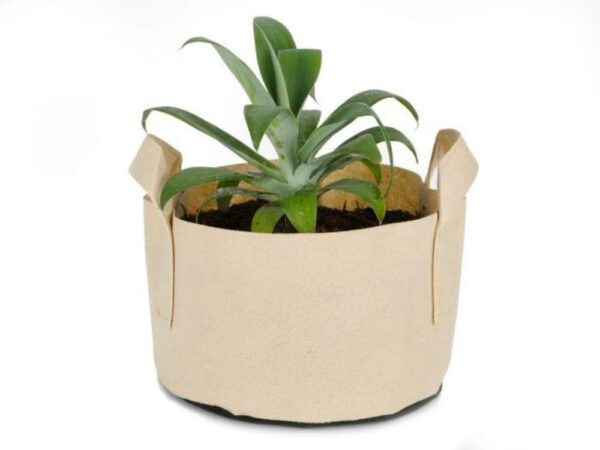 Gardening Plant Pots Tan - Image 8