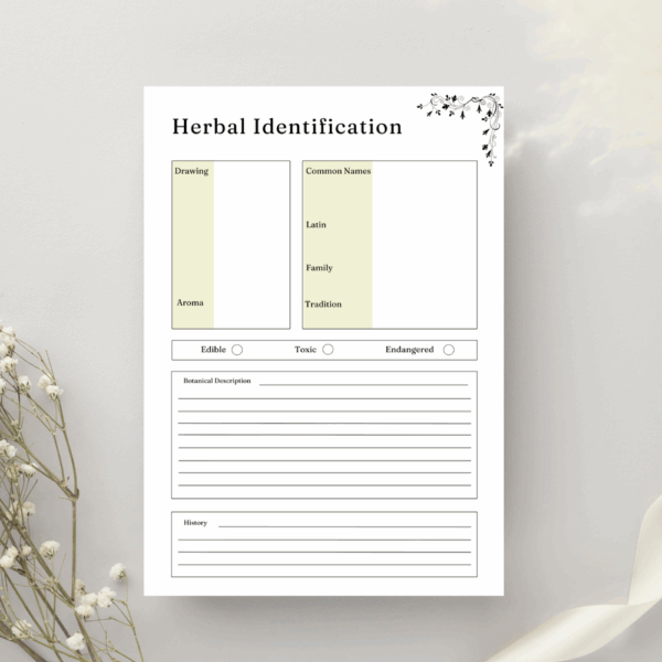 Printable Herbs & Essential Oils Planner | Organize Your Natural Remedies - Image 4