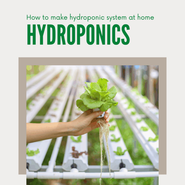 Ultimate Hydroponic & Aquaponic Gardening eBook - Image 7