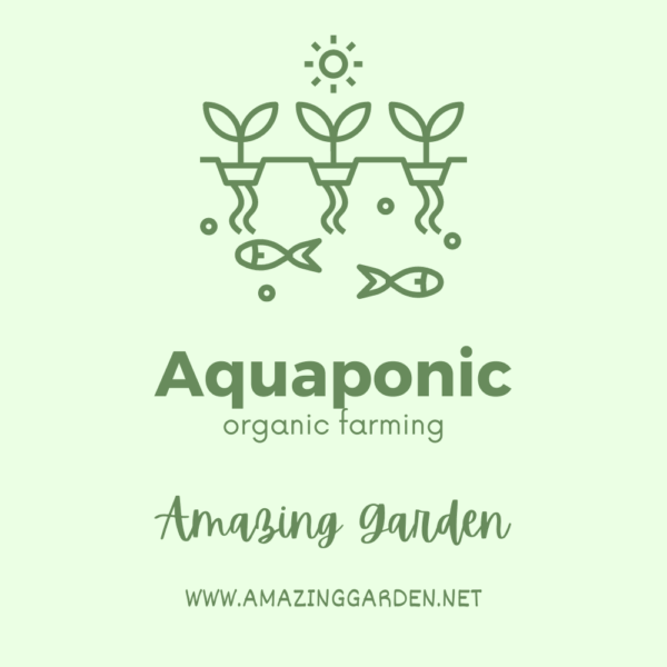 Ultimate Hydroponic & Aquaponic Gardening eBook - Image 8