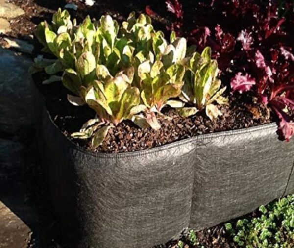 Thick Fabric Raised Garden Beds - Image 10