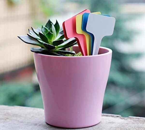Plastic Waterproof Plant Labels - Image 2