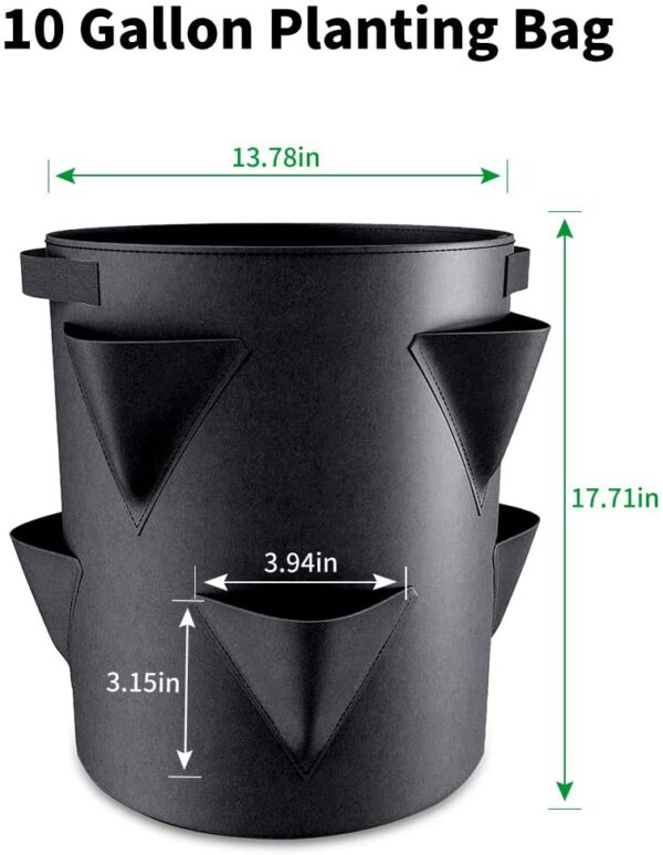 Strawberry Grow Bags - Image 4