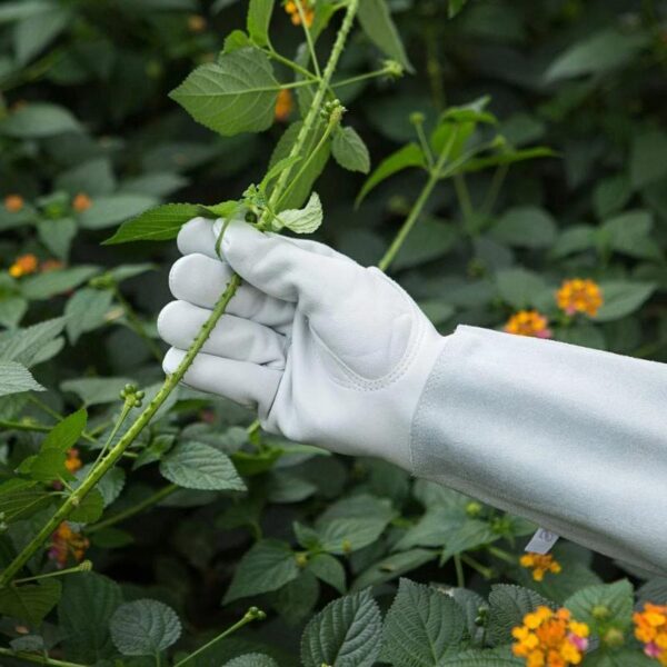 Rose Pruning Gloves - Long Leather Gauntlet - Image 10