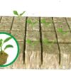 Hydroponics Rockwool Plant Starter Cubes