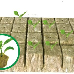 Hydroponics Rockwool Plant Starter Cubes