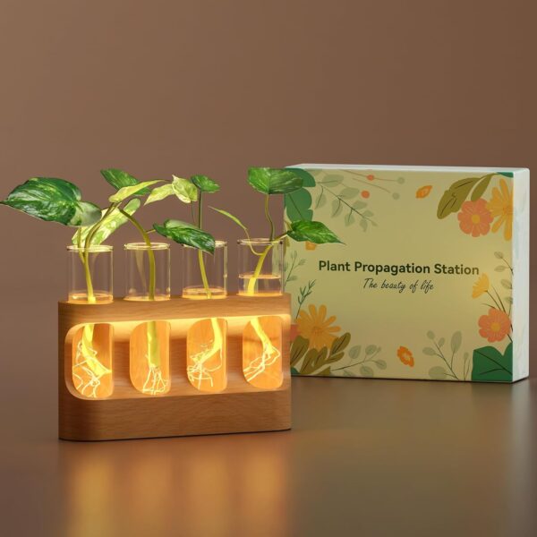 Plant Propagation Station - Wall Hanging Terrarium with Stand - Image 17