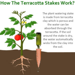Alternative view of Terracotta Watering Spikes – Self-Watering Stakes for Plants - Auto Irrigation