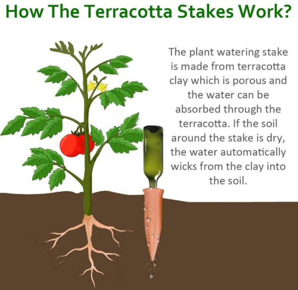 Terracotta Watering Spikes – Self-Watering Stakes for Plants - Auto Irrigation - Image 2