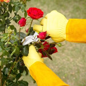 Rose Pruning Gloves - Long Leather Gauntlet