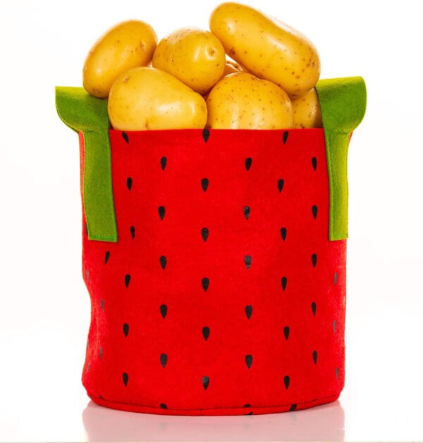 Colorful Fabric Grow Bags - Image 9