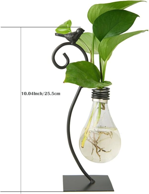 Plant Propagation Station - Wall Hanging Terrarium with Stand - Image 20