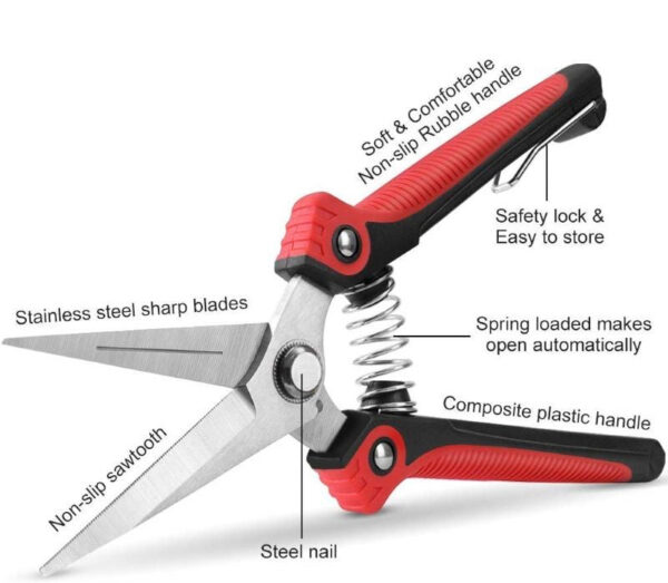 Stainless Steel Pruning Shears - Image 5