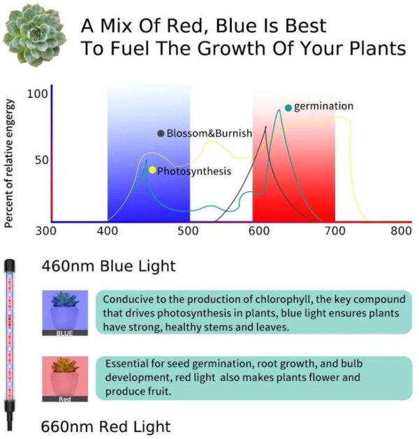 Best Grow Lights for Indoor Plants – Boost Plant Growth & Yield - Image 4