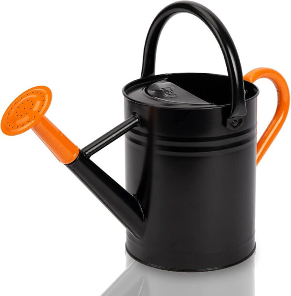 Galvanized Steel Watering Can - Image 13