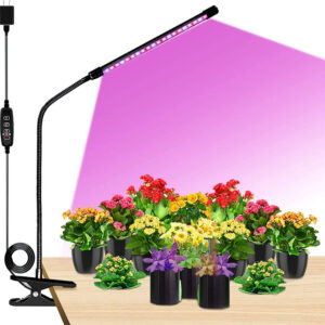 Best Grow Lights for Indoor Plants – Boost Plant Growth & Yield