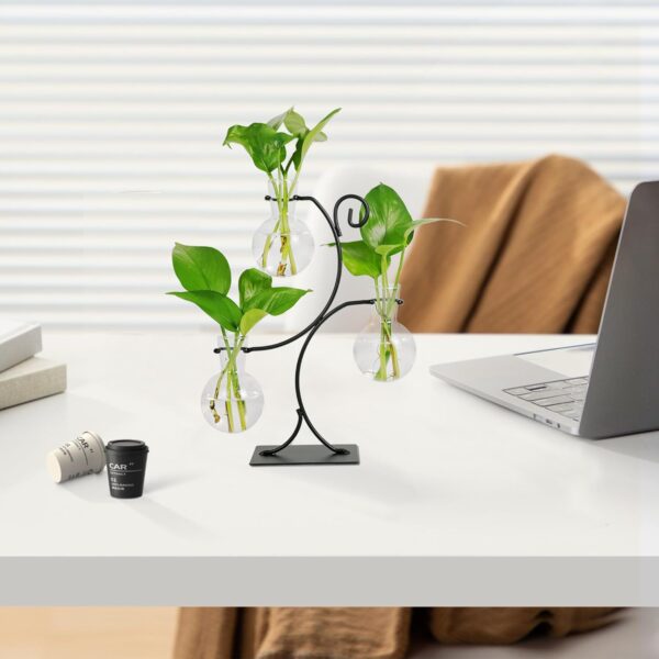 Plant Propagation Station - Wall Hanging Terrarium with Stand - Image 21