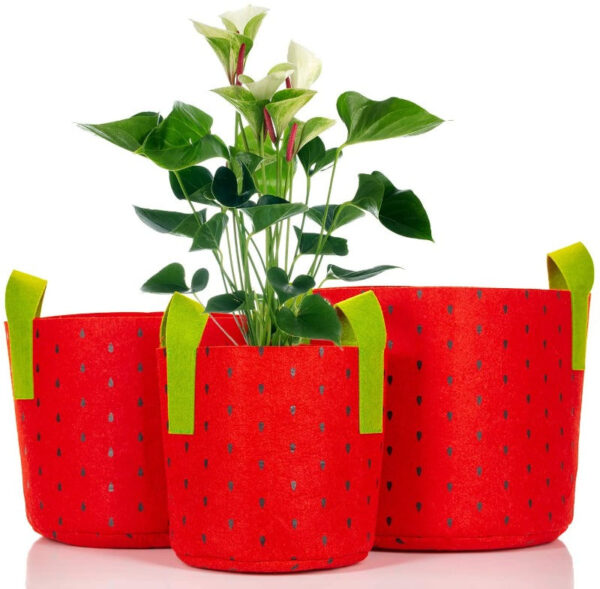 Colorful Fabric Grow Bags - Image 7