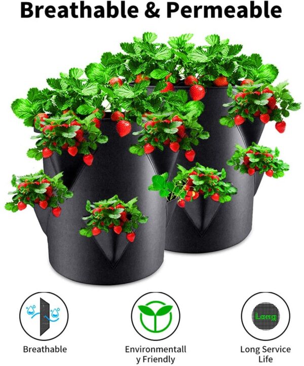 Strawberry Grow Bags - Image 3