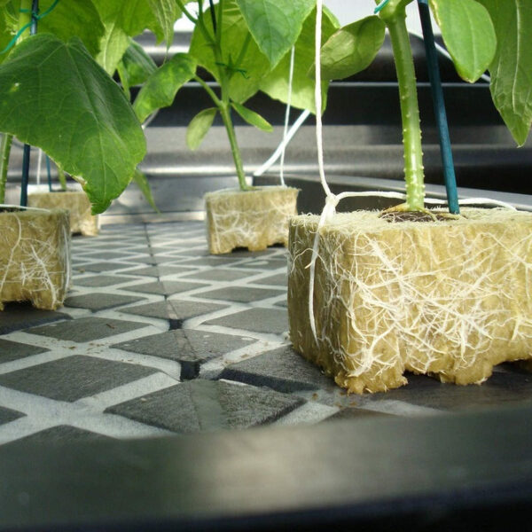 Hydroponics Rockwool Plant Starter Cubes - Image 3