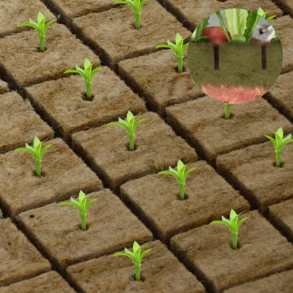 Hydroponics Rockwool Plant Starter Cubes - Image 6