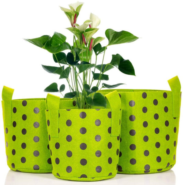 Colorful Fabric Grow Bags - Image 12