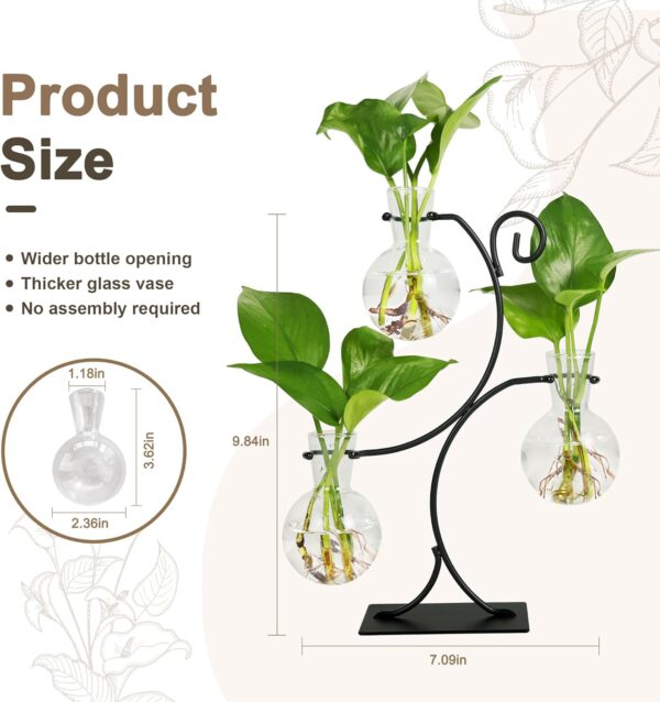 Plant Propagation Station - Wall Hanging Terrarium with Stand - Image 22