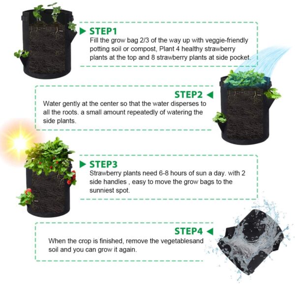 Strawberry Grow Bags - Image 5