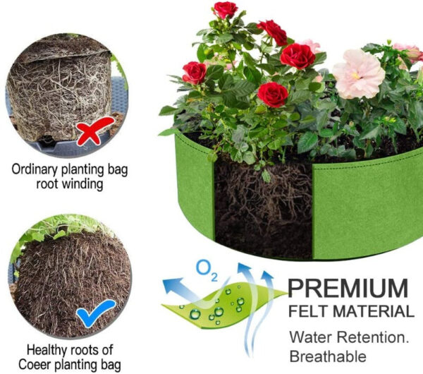 Premium Quality Raised Beds - Image 5