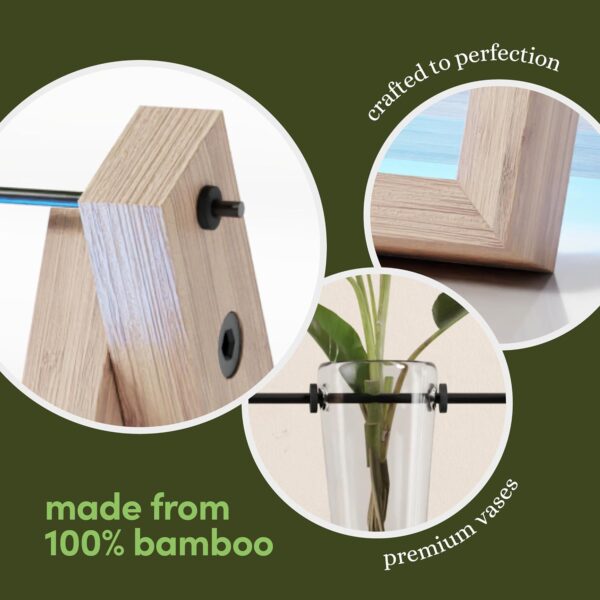 Plant Propagation Station - Wall Hanging Terrarium with Stand - Image 5