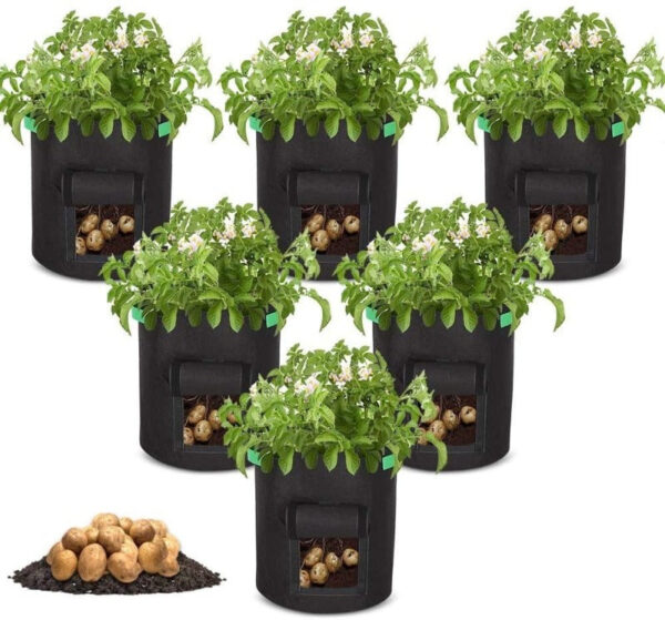 Premium Vegetable Grow Bags - Image 5