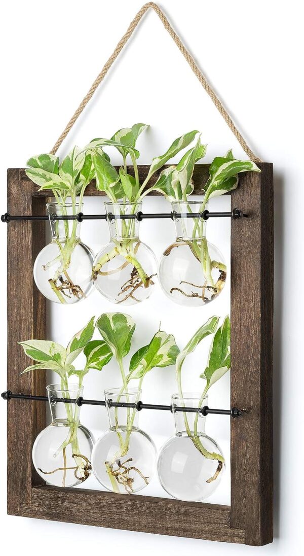 Plant Propagation Station - Wall Hanging Terrarium with Stand - Image 13
