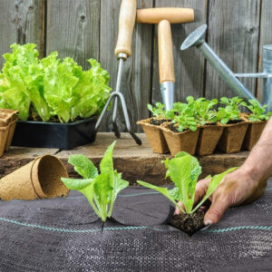 Alternative view of Premium Weed Barrier Landscape Fabric - Heavy-Duty Weed Control Mat for Gardens