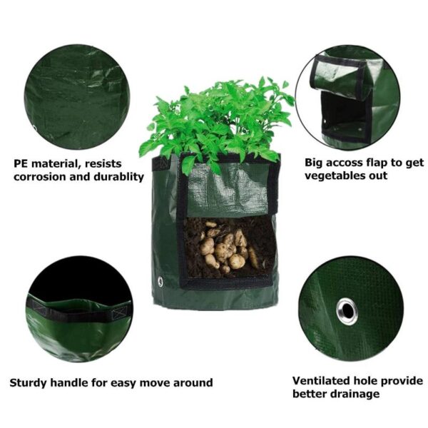 Vegetable Grow Bags - Image 3
