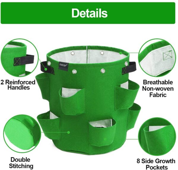 Strawberry Grow Bags - Image 9