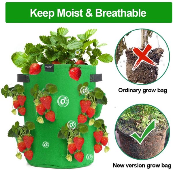 Strawberry Grow Bags - Image 10