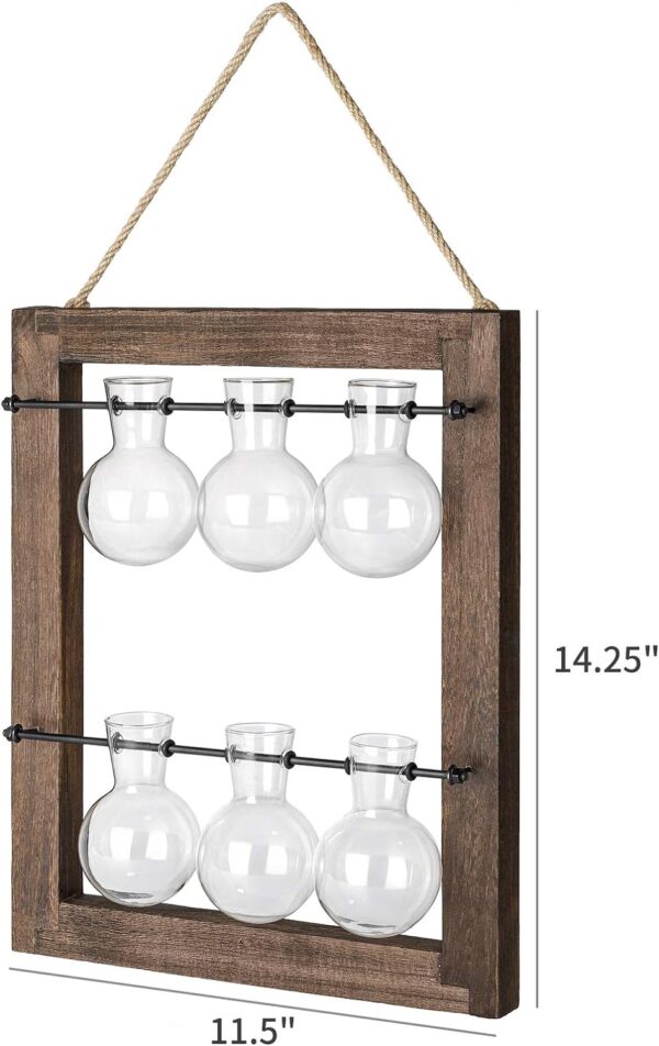 Plant Propagation Station - Wall Hanging Terrarium with Stand - Image 14