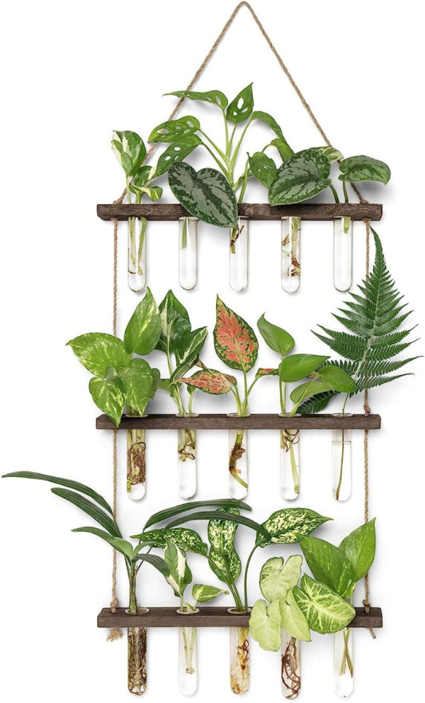 Plant Propagation Station - Wall Hanging Terrarium with Stand - Image 15