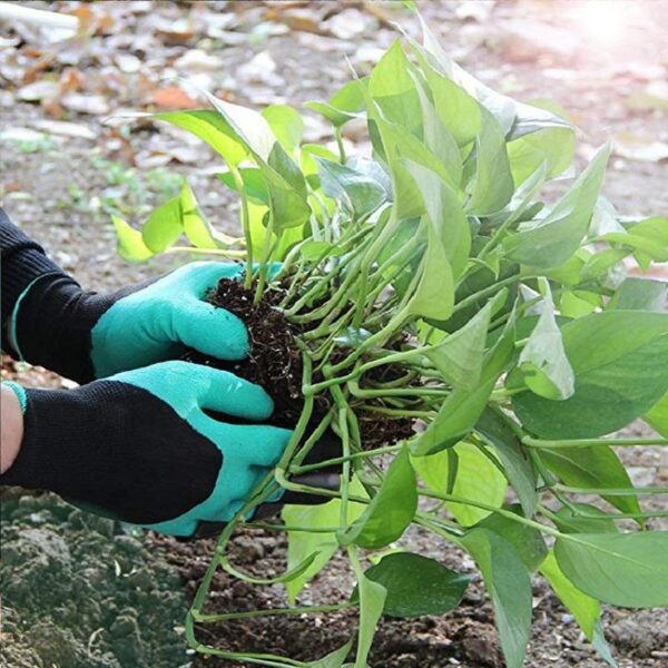 Gardening Gloves With Claws - Image 6