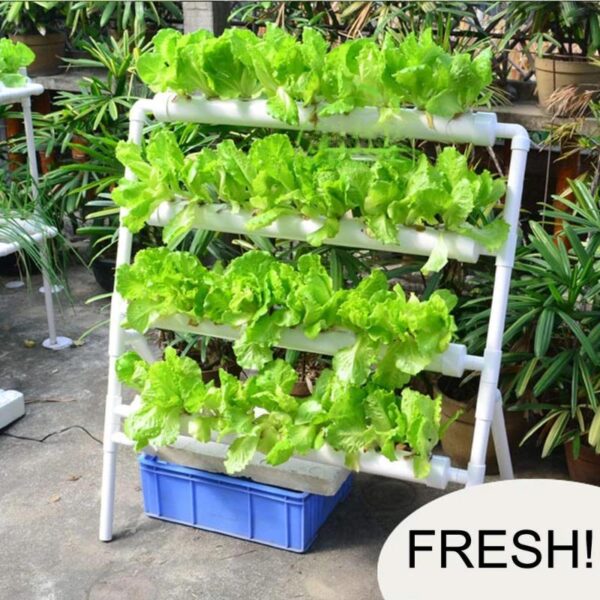 Hydroponics Growing System - High Yield Indoor Gardening Kit with Timer & Pump - Image 6