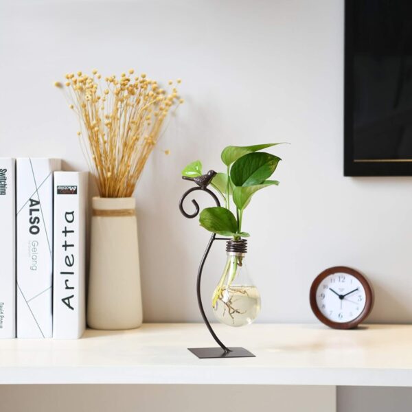 Plant Propagation Station - Wall Hanging Terrarium with Stand - Image 19