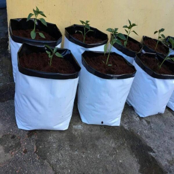 Nursery Grow Bags - Image 5