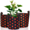 Colorful Fabric Grow Bags
