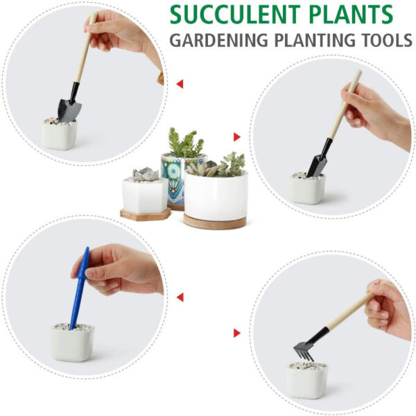 Premium Succulent Garden Tools Set - Image 9