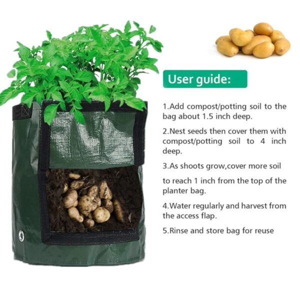 Vegetable Grow Bags - Image 4