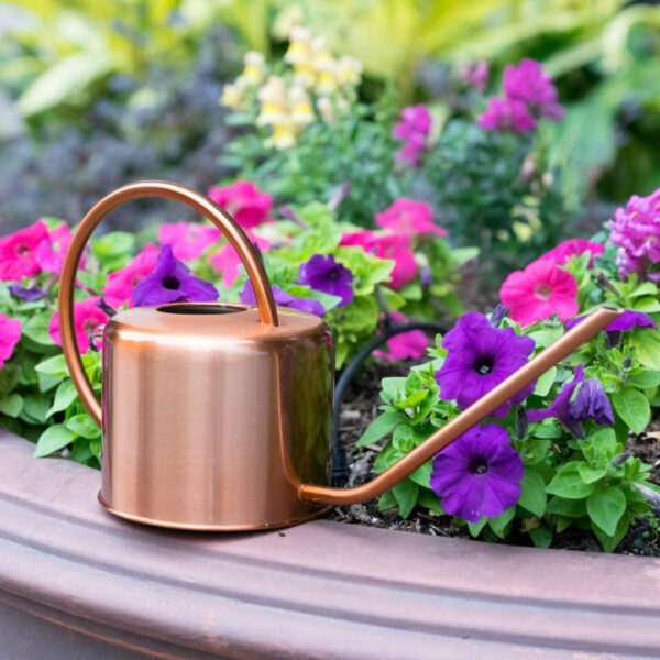 Galvanized Steel Watering Can - Image 9