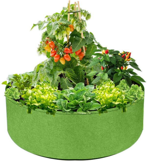 Premium Quality Raised Beds - Image 17