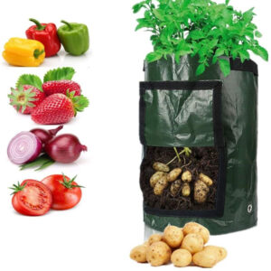 Vegetable Grow Bags