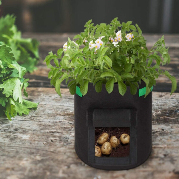 Premium Vegetable Grow Bags - Image 4